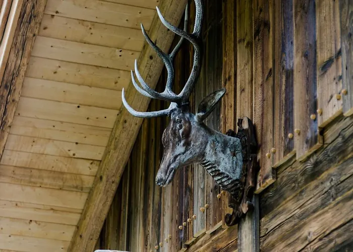 شاليه Wildberg *